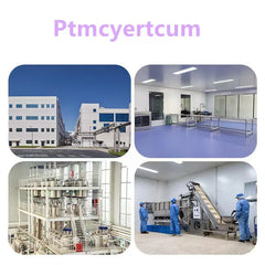 Nano PTFE Powder 1.6 Corrosion Resistance High Dry Lubricant Grease Bicycle Chains Ultrafine Powders About 1-20um Mult Size